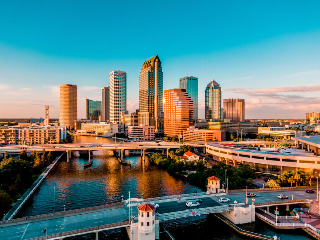 Complete Guide on Adoption in Tampa
